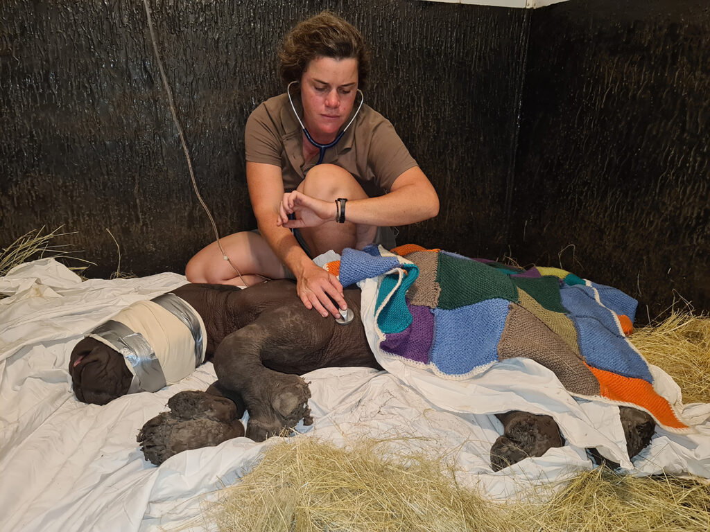 Rhino Orphan Leko Arrival