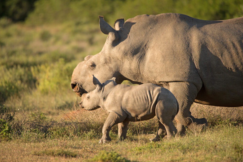 Thandi and thembi
