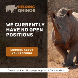 No Open Positions