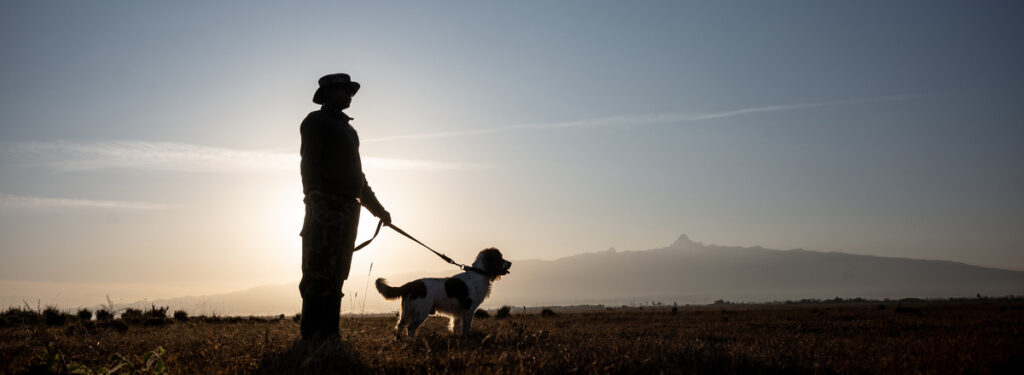 Drum anti-poaching dog Ol Pejeta